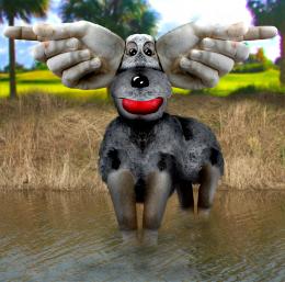 WrongWayMoose